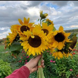 Meet your Posher, Rebecca